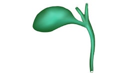 Bile-Duct-main-cancers