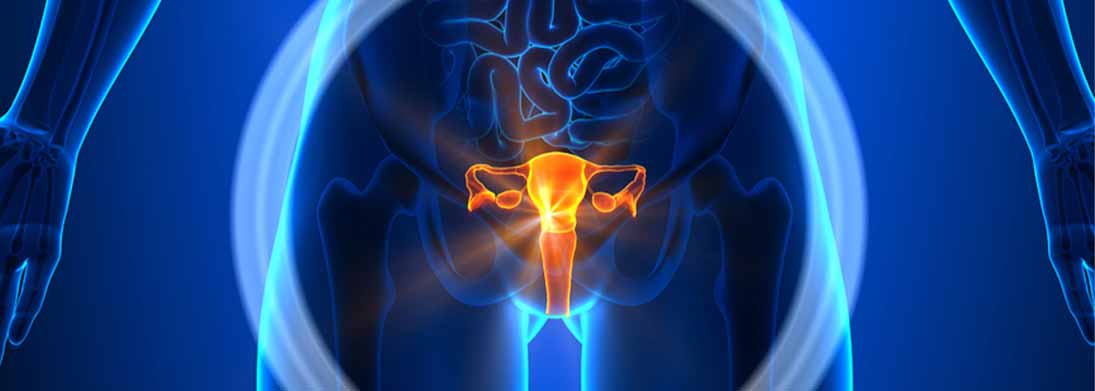 Gynecological-oncology