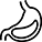 Stomach