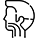 Throat